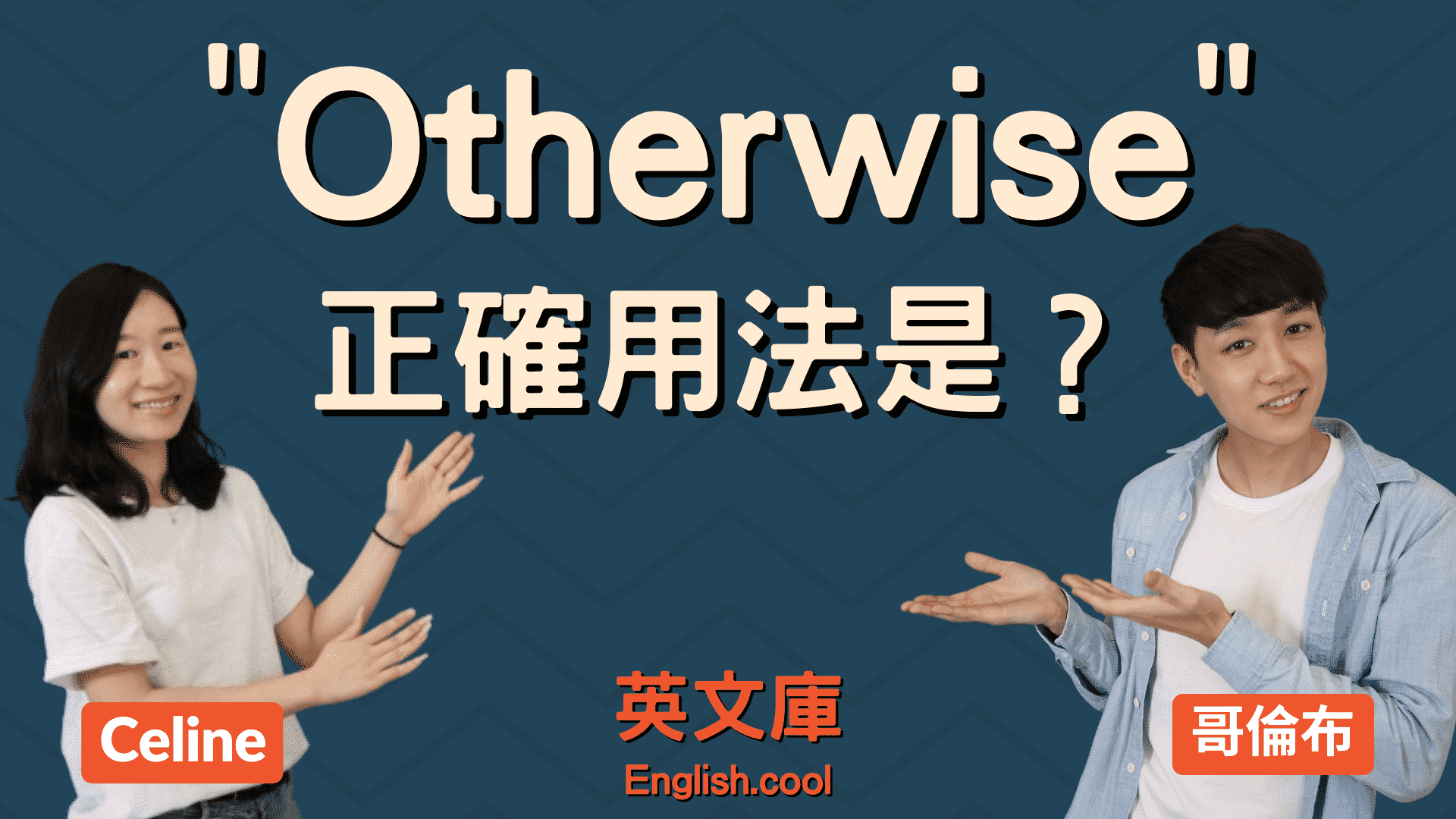 Otherwise用法解析大全,初學者也能快速上手!