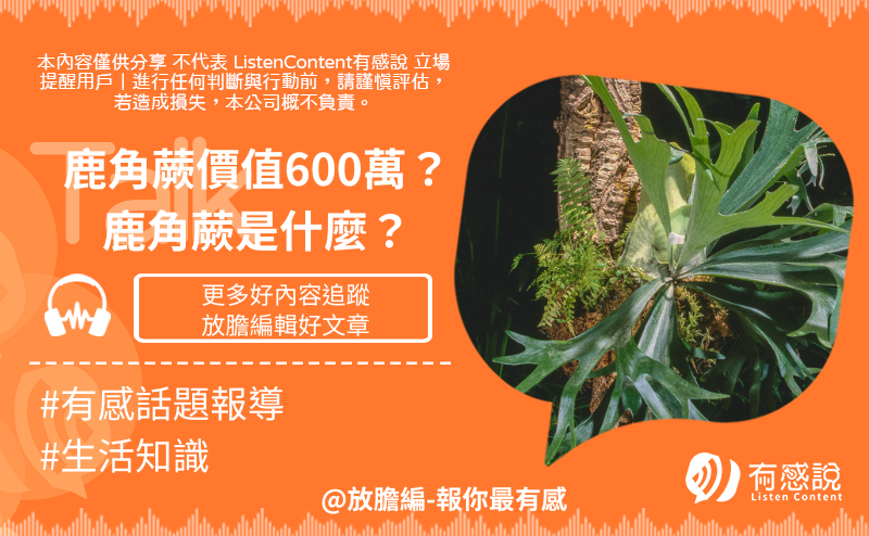 美的in臺灣採訪費用貴不貴?真實價格大公開!